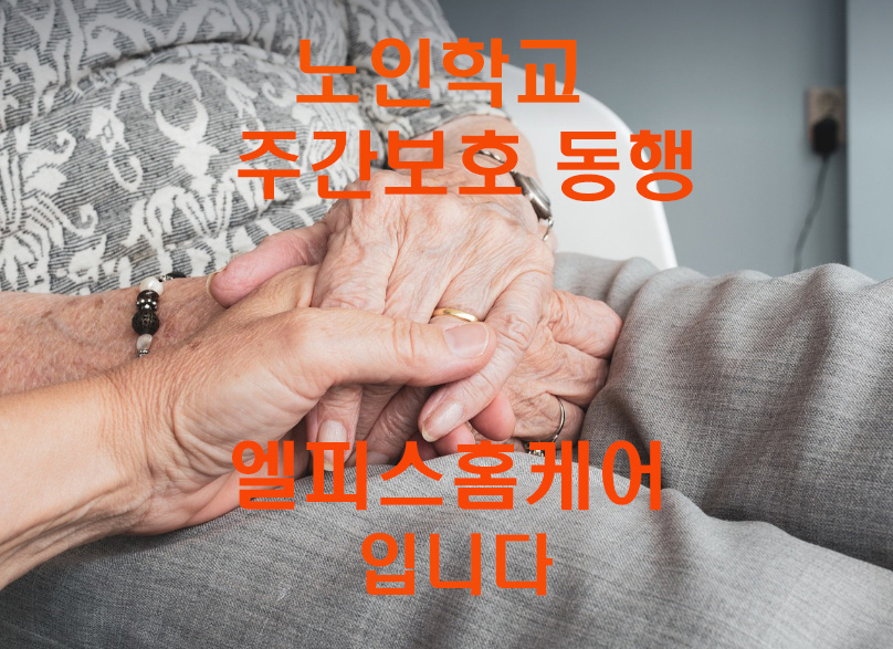 부모님 안심동행 서비스 (오전,오후 1시간씩) 기본2시간