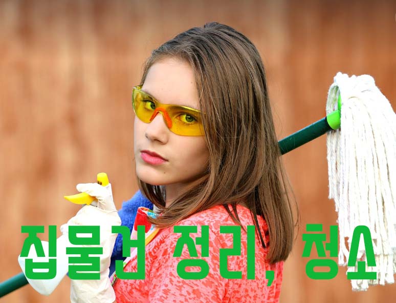 집물건정리,청소(노인장기요양 수급자 무료)