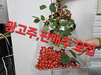 광고주,판매주 모집합니다.