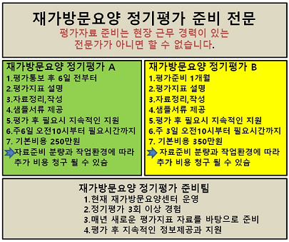 재가방문요양정기평가지원